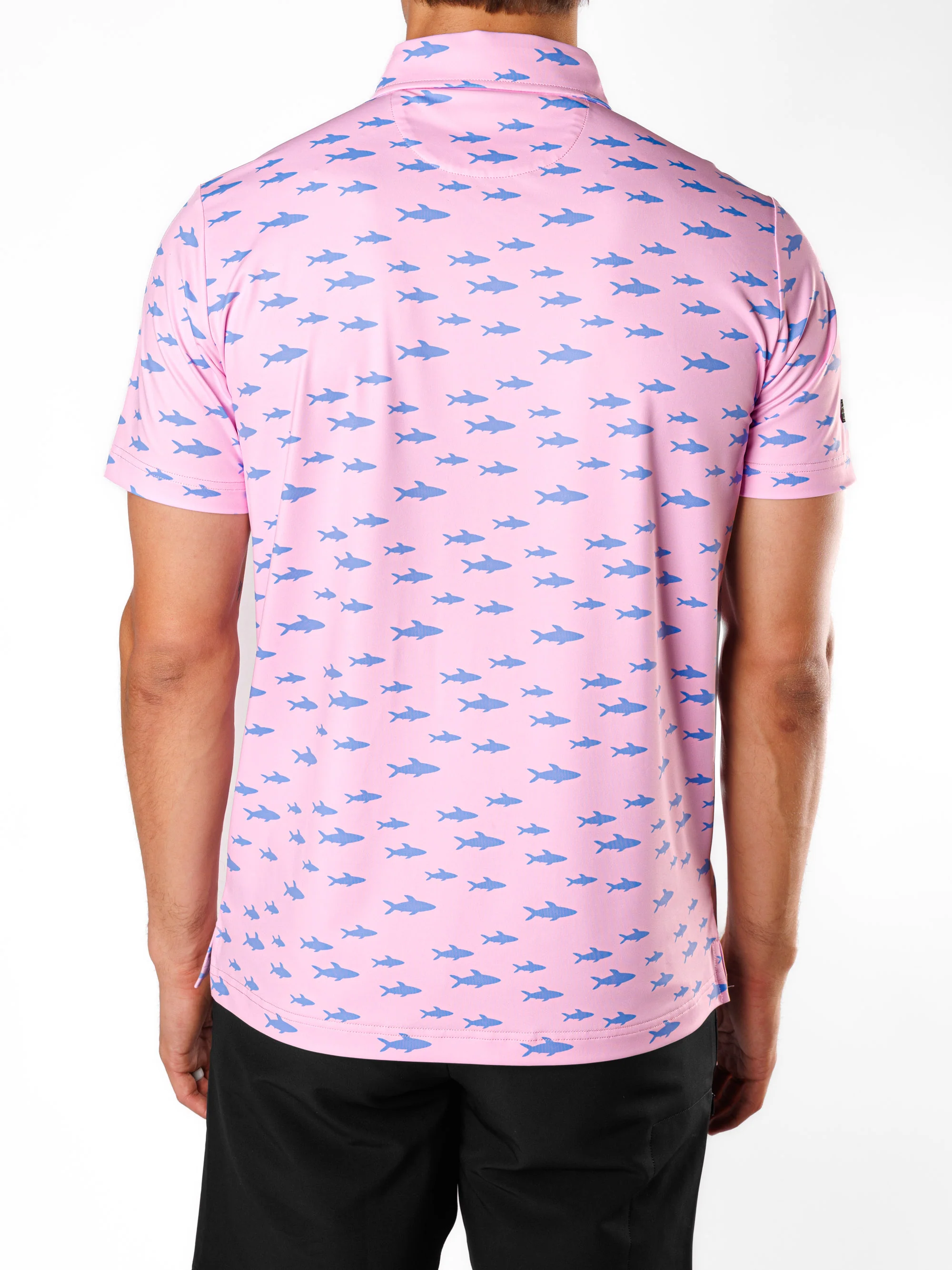 Chomp - Image 5