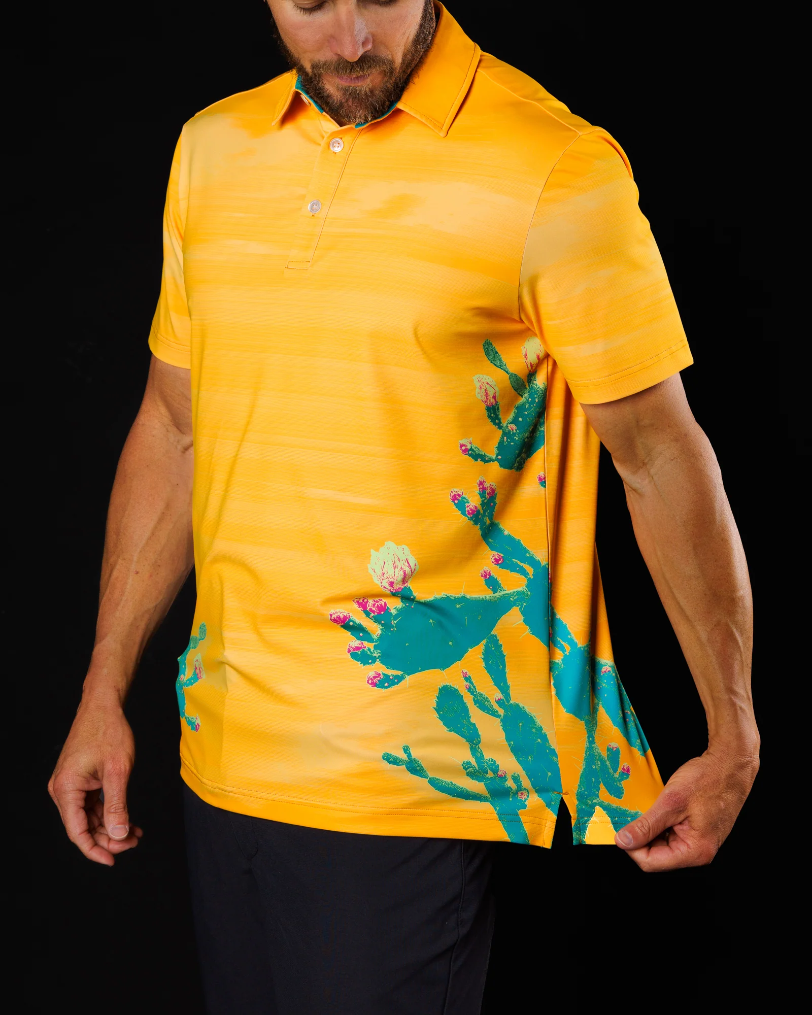 Phoenix - Image 3