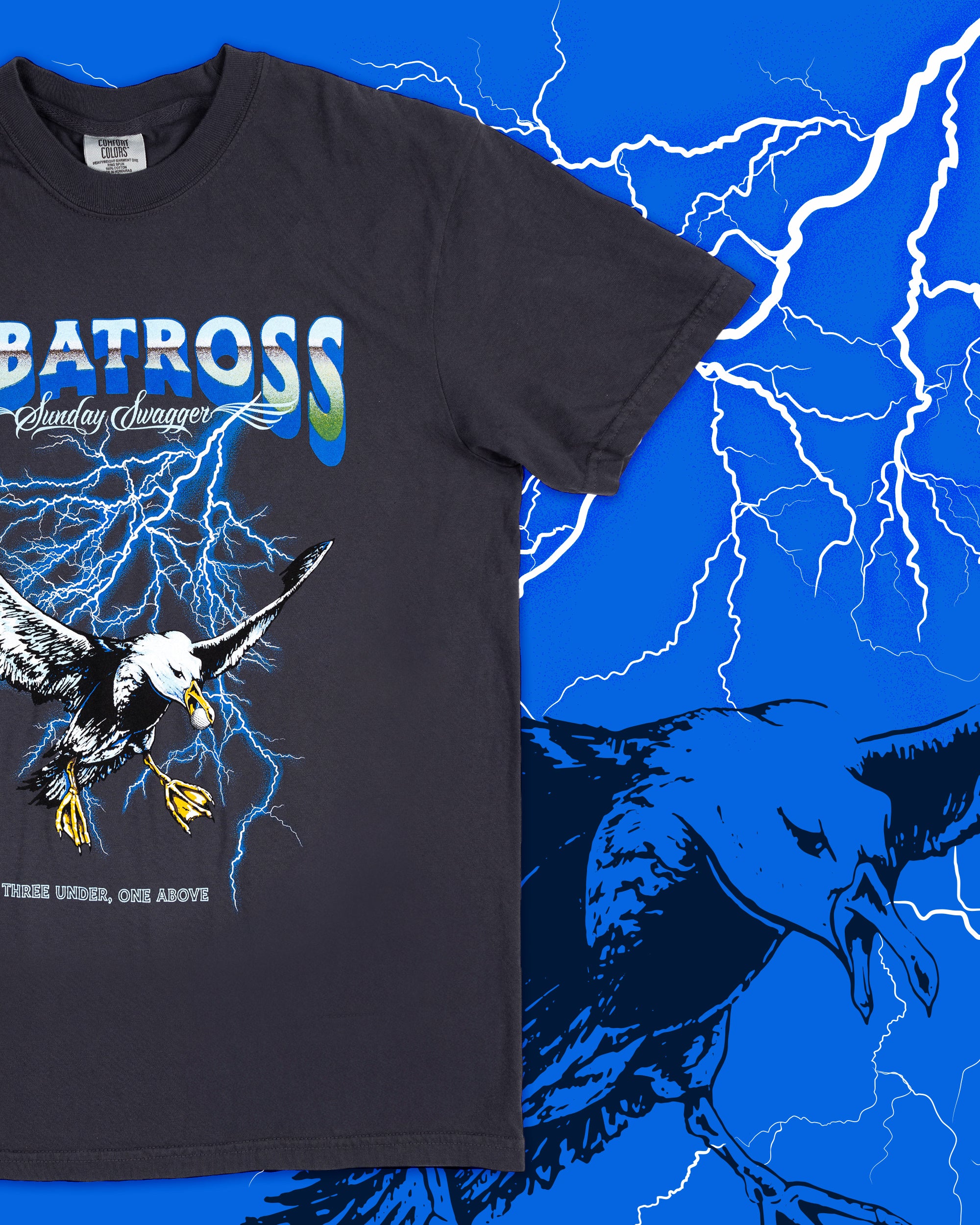 Albatross - Image 2