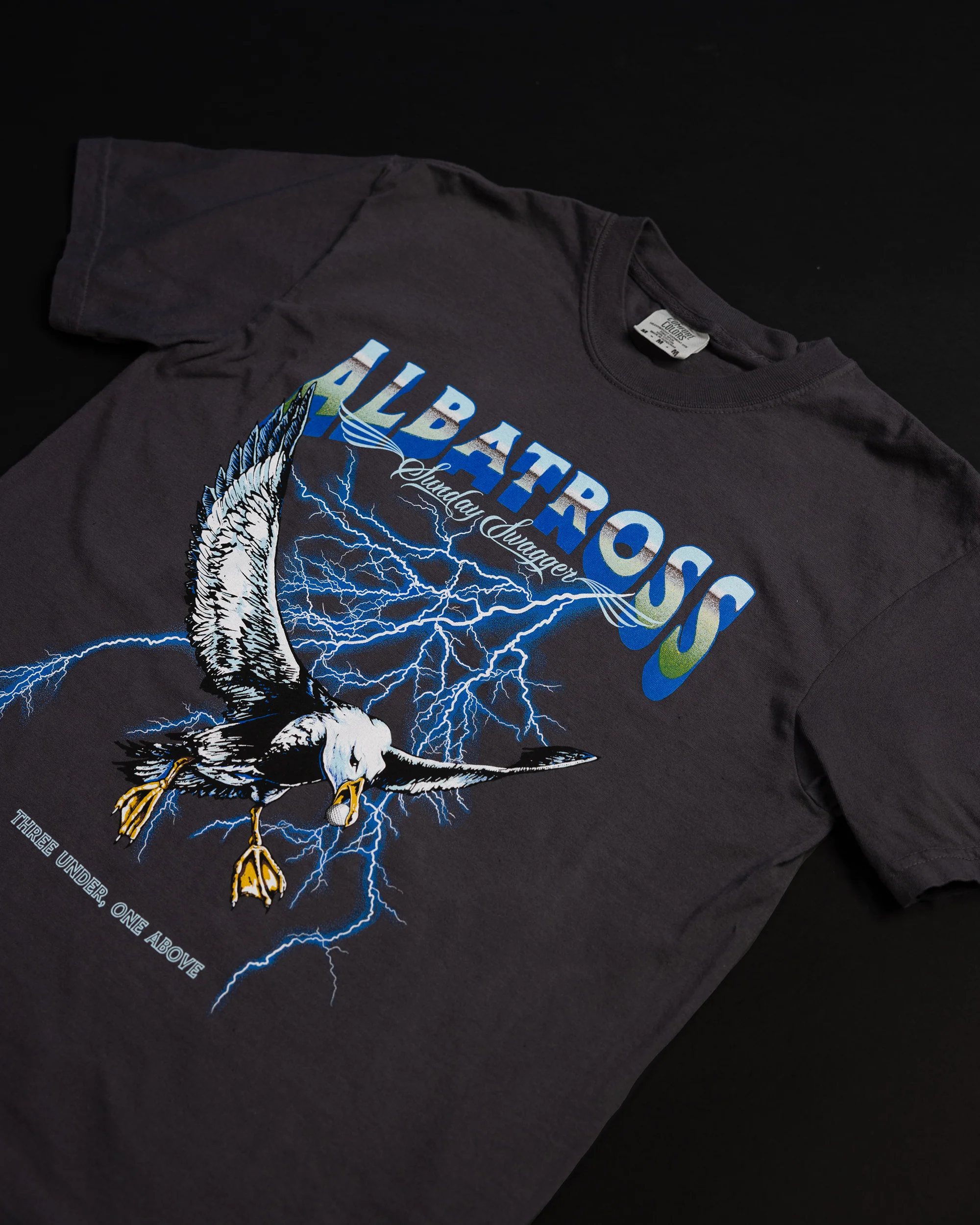 Albatross - Image 3